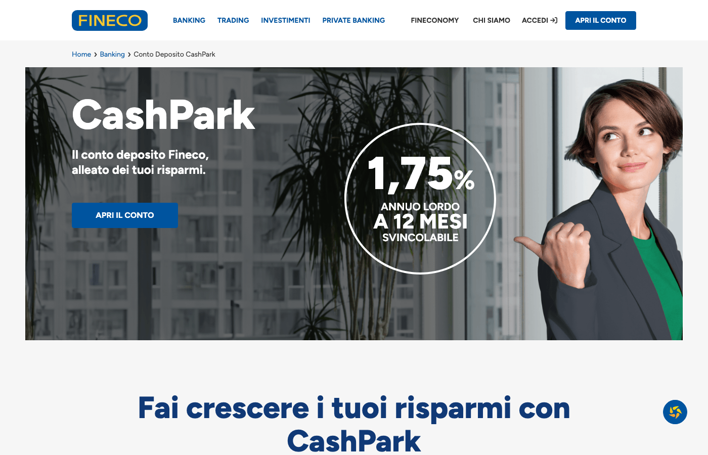 Screenshot del sito di Fineco CashPark