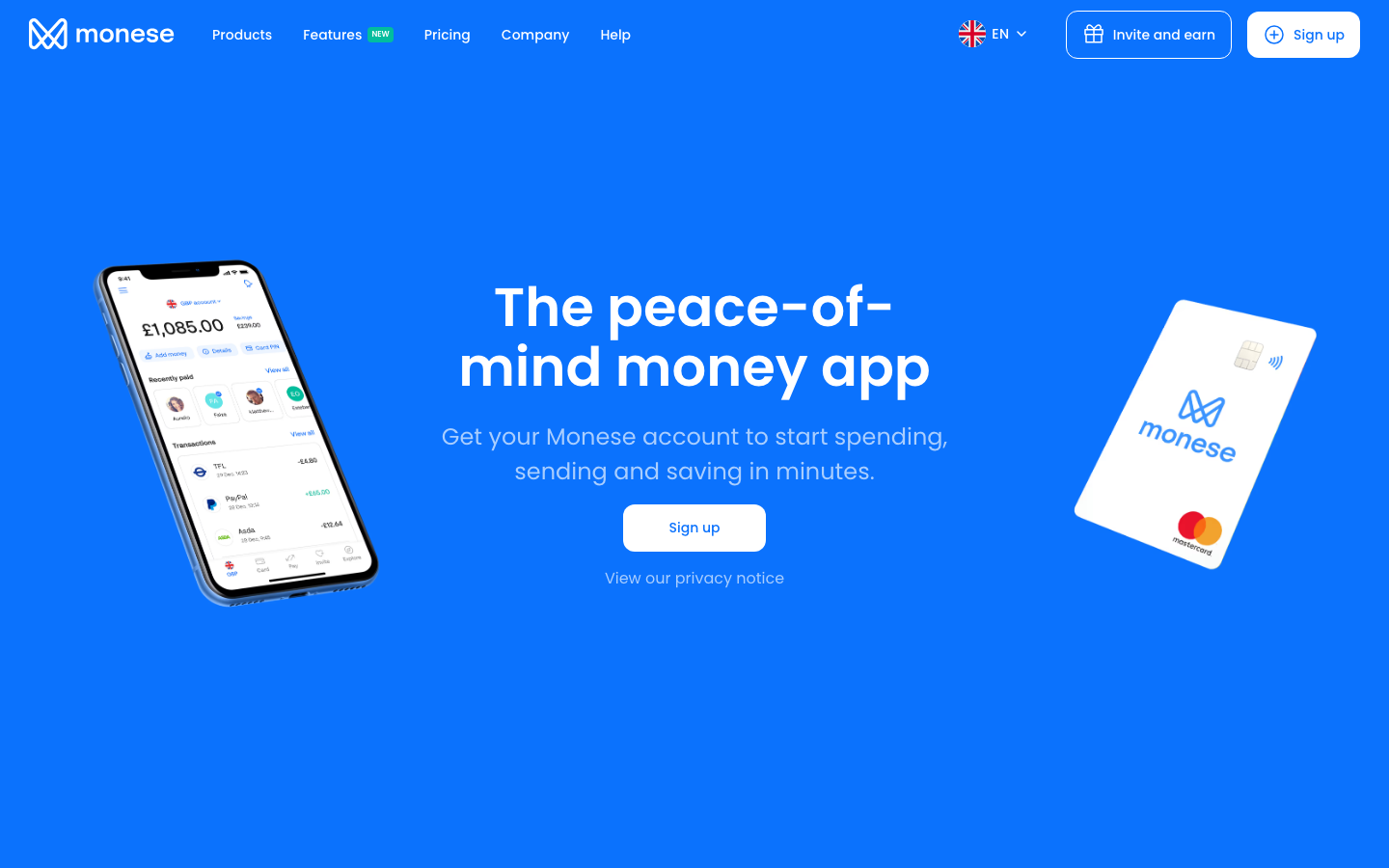 Homepage van Monese